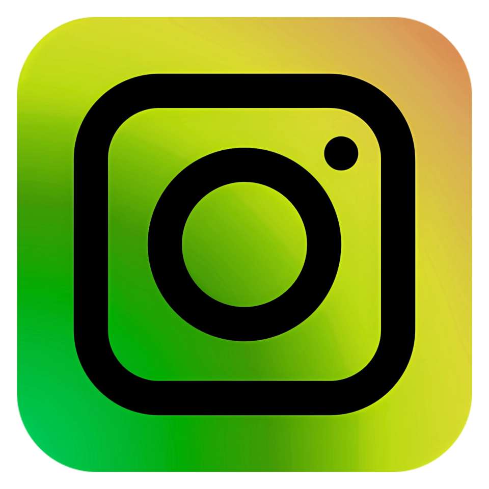 Çift renkli instagram logosu