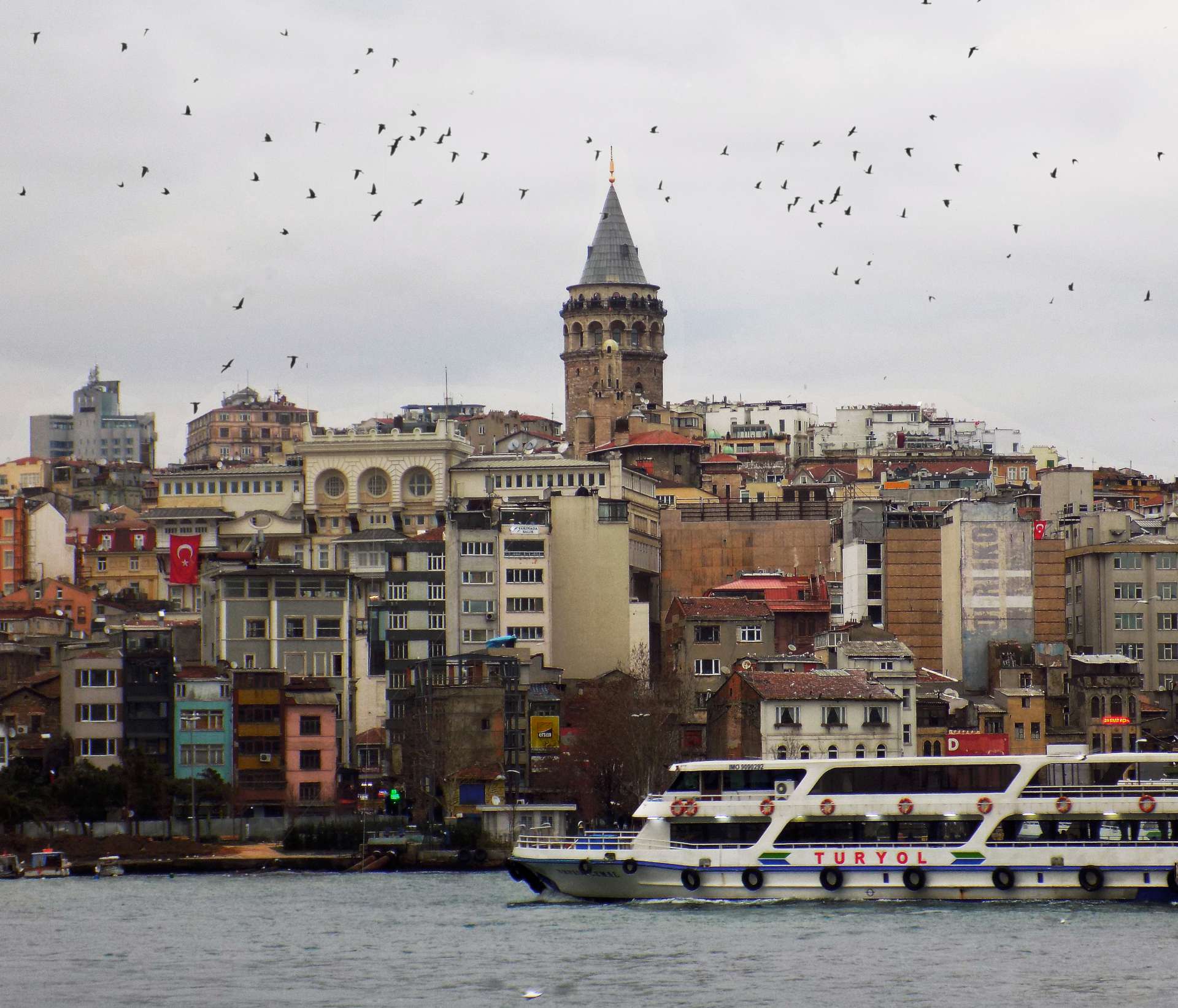 galata kulesi kuşları manzara resmi